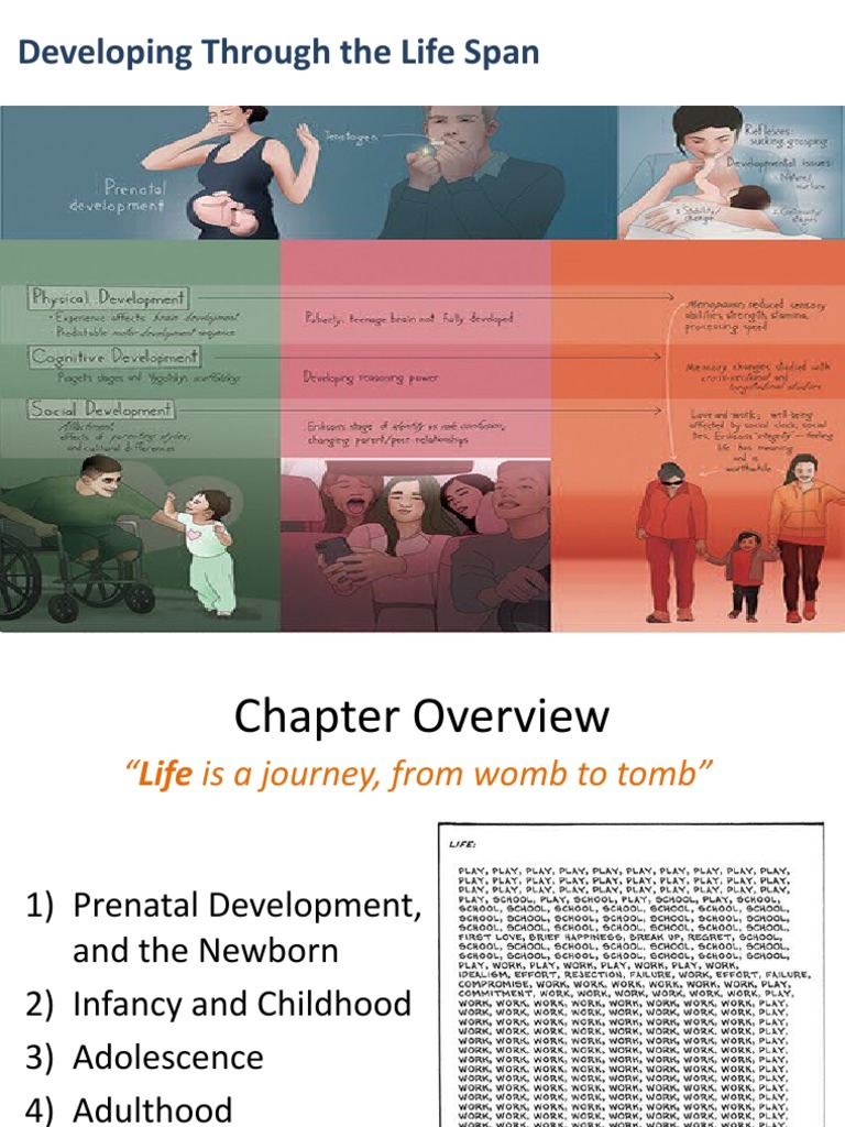 Life Span Development in Psychology | PDF | Attachment Theory | Autism ...