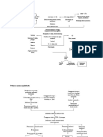 Pathway Anemia