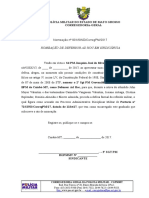 19 - Fase Acusatória - Nomeação Defesor Ad Hoc