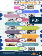 Contabilidad Gubernamental - Infografia