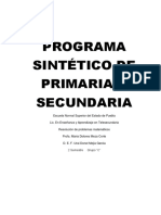 Programa sintético de primaria y secundaria ENSAYO