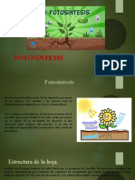 Proceso de alimentación de plantas en