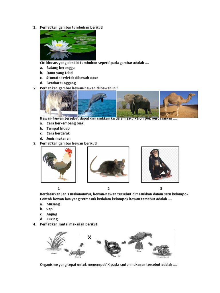 Asah Kemampuan IPA Anak SD