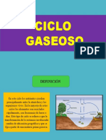 Ciclo Gaseoso