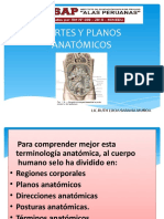 Planos Anatomicos
