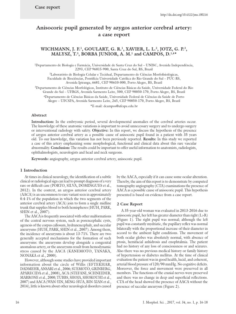 Artigo Anisocoria e Nervo Oculomotor PDF Nervous System Angiology