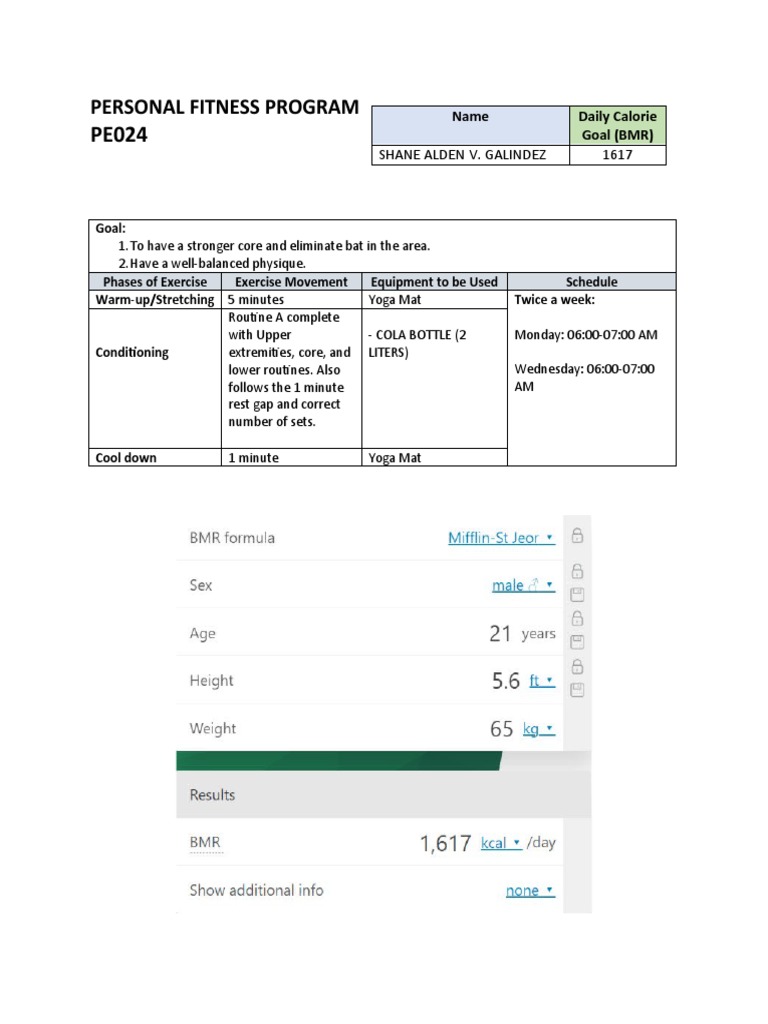 PE024 Personal Fitness Program Template PDF