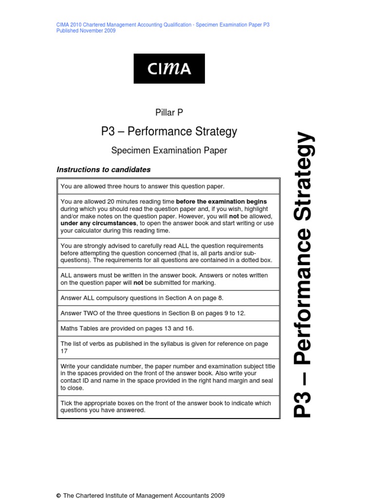 P3 - Performance Strategy | Download Free PDF | Coal | Swap (Finance)