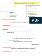 Tema 4, Fisio Bact