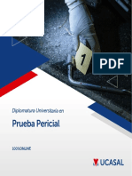 Brochure - Diplomatura Universitaria en Prueba Pericial