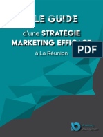 Guide Strategie Marketing Efficace Reunion