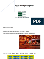 Percepción del movimiento estroboscópico