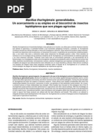 Download Bacillus Thuringiensis by Sulby Romero SN59414819 doc pdf