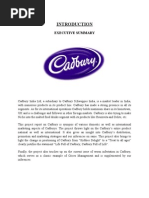 Cadbury Main Project - Final Joel 35 Pgs