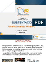 Sustentacion - Proyecto - Guisela Montero - 102021 - 77