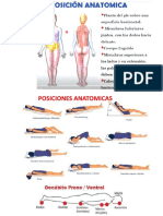 Practica #1 Morfofisiologia I