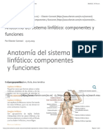 Anatomía Del Sistema Linfático: Componentes y Funciones