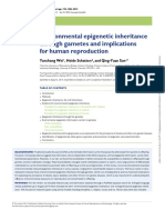 Environmental Epigenetic Inheritance