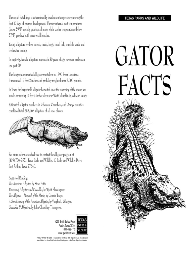 Texas Parks and Wildlife Gator Facts | PDF | Alligator | Reptile