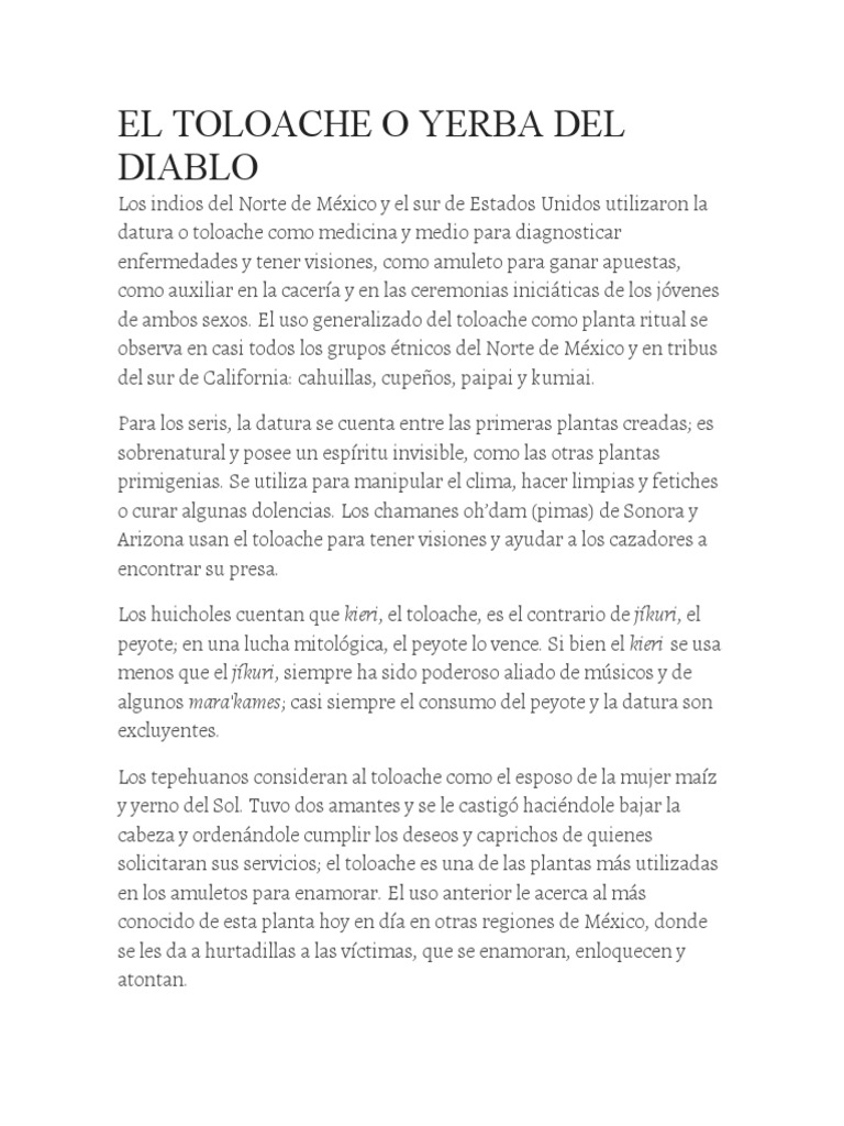 Toloache: la hierba del diablo en rituales | PDF