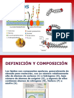 BIOQUÍMIC - Lipidos
