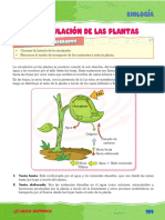 Bio - 4° - 2021 (Tema 2) - La Circulación de Las Plantas