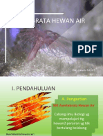 Avertebrata Hewan Air