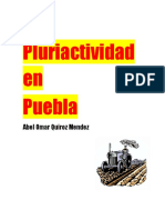 Pluriactividad en Puebla: Maíz, Café y Frijol