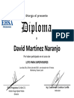 Martínez Naranjo David Diploma