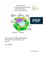 Biología Molecular, Célula Vegetal.