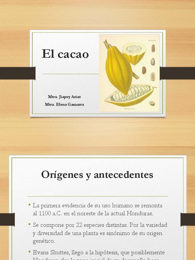 Cacao Pdf Chocolate México