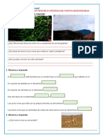 6° Ficha Cyt