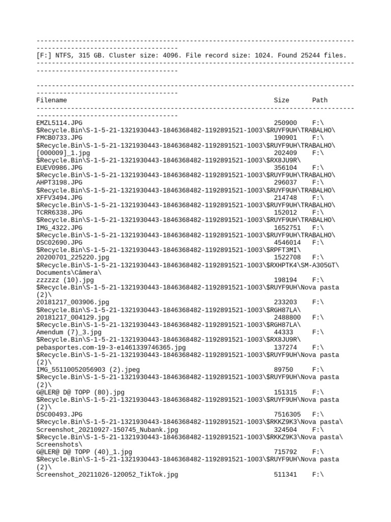 Recycle Bin File Analysis Report | PDF | Image Processing | Data Management