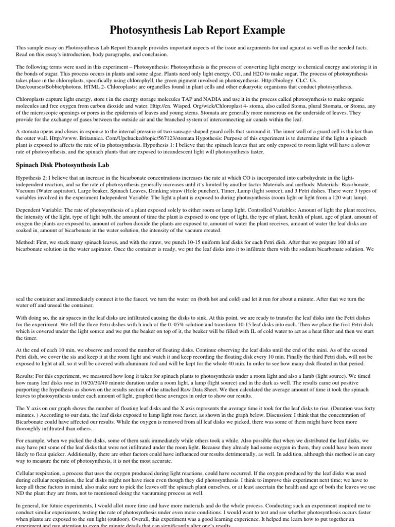 Photosynthesis Lab Report Example PDF Stoma Photosynthesis