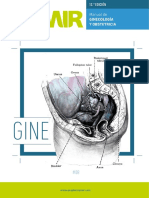 Manual de Ginecología y Obstetricia (Autores Varios)