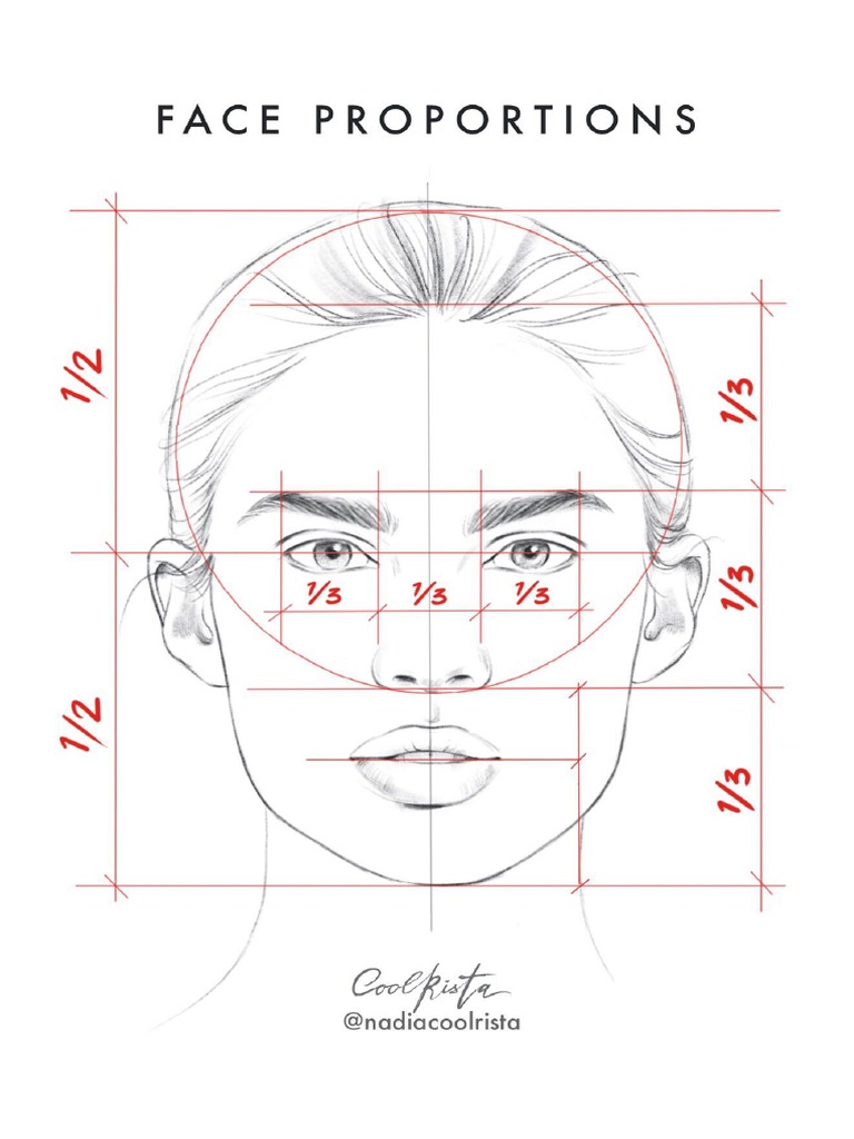 Face Proportions Coolrista | PDF