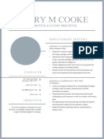 Automotive Account Executive Resume A4