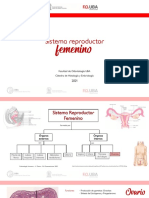 Sistema Reproductor 