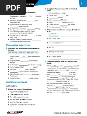 LI_L1_Grammar_Extension