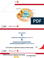 8.presentación de La Videoclase. Introducción Al Metabolismo