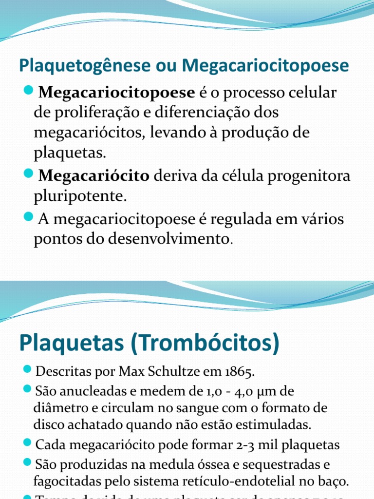Megacariocitopoese e Função das Plaquetas | PDF | Plaquetas sanguíneas ...