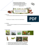 Ficha de Aplicación de La Cadena Alimenticia