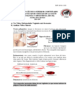 Tarea Semana 13