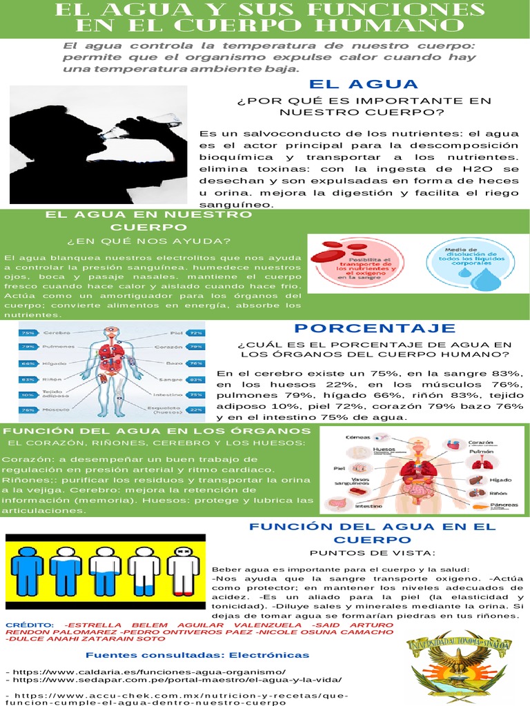 El Agua y Sus Funciones en El Cuerpo Humano C.OyE | PDF | Agua | Sangre