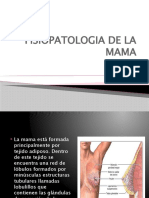 Fisiopatologia de La Mama