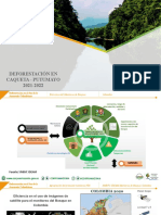 Presentación Deforestación Leguizamo 2021 2022