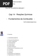 Combustao tERMO II 2011