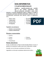 Ficha Informativa Enfermedades