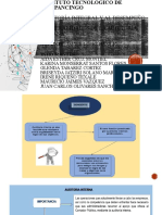 Generalidades Auditoría1