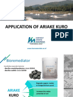 Kuro Presentation